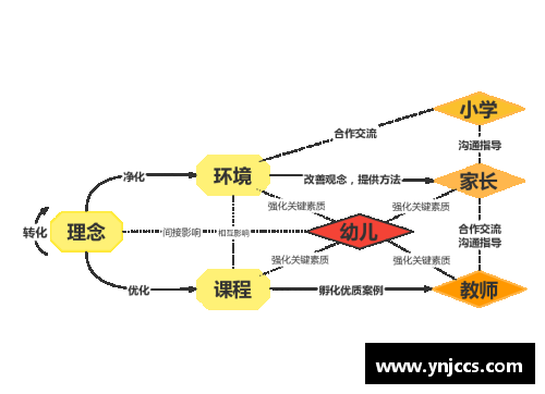 评价体系：聚焦球员表现的全面分析