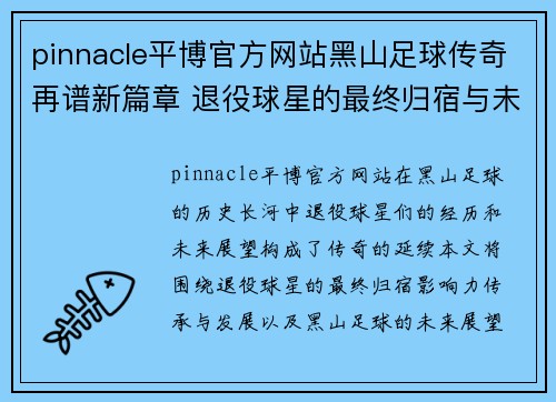 pinnacle平博官方网站黑山足球传奇再谱新篇章 退役球星的最终归宿与未来展望 - 副本