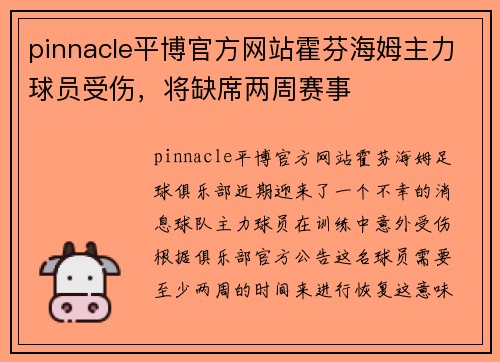 pinnacle平博官方网站霍芬海姆主力球员受伤，将缺席两周赛事