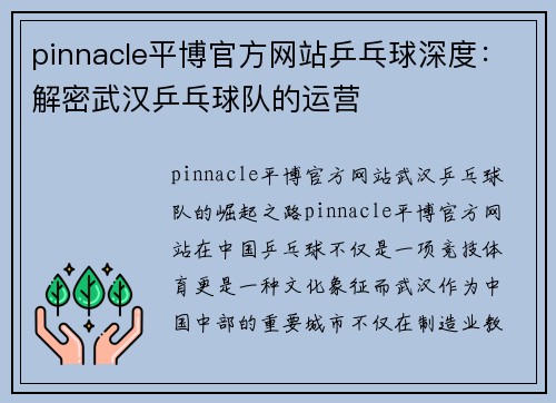 pinnacle平博官方网站乒乓球深度：解密武汉乒乓球队的运营